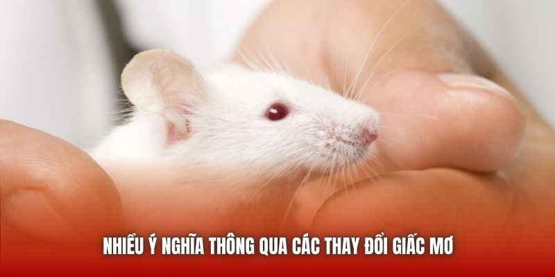 Nhiều ý nghĩa thông qua các thay đổi giấc mơ
