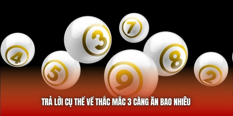Trả lời cụ thể về thắc mắc 3 càng ăn bao nhiêu