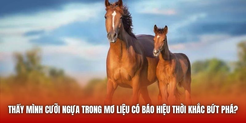 Thấy mình cưỡi ngựa trong mơ liệu có báo hiệu thời khắc bứt phá?