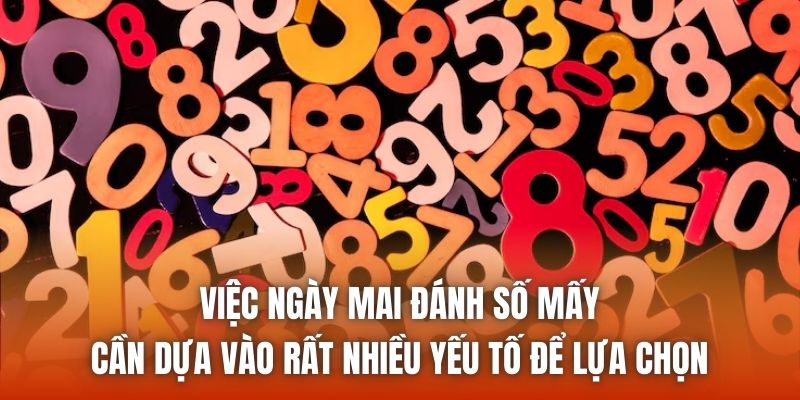 Việc ngày mai đánh số mấy cần dựa vào rất nhiều yếu tố để lựa chọn